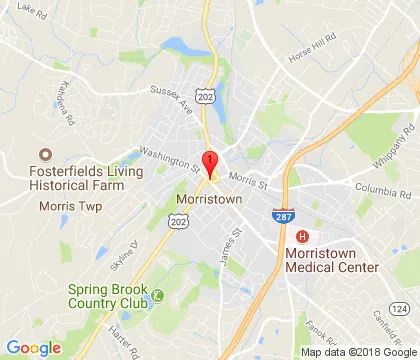 logo-image - morristown-nj